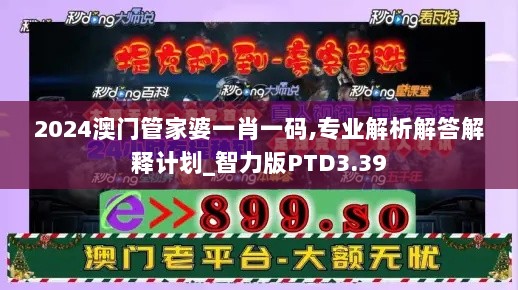 2024澳门管家婆一肖一码,专业解析解答解释计划_智力版PTD3.39