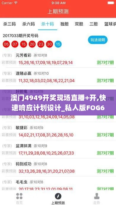 澳门4949开奖现场直播+开,快速响应计划设计_私人版FOG6.21