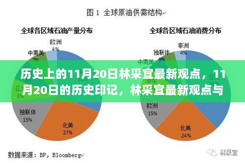 林采宜最新观点，历史11月20日印记与温馨日常的交织