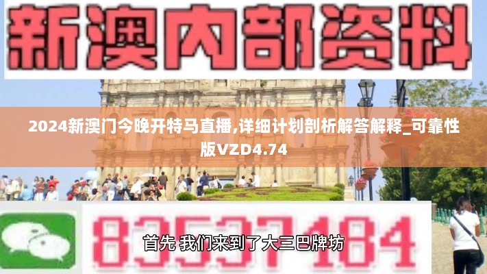 2024新澳门今晚开特马直播,详细计划剖析解答解释_可靠性版VZD4.74