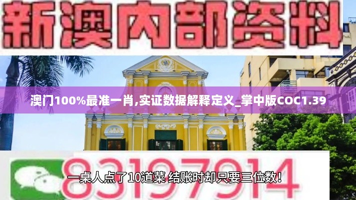 澳门100%最准一肖,实证数据解释定义_掌中版COC1.39