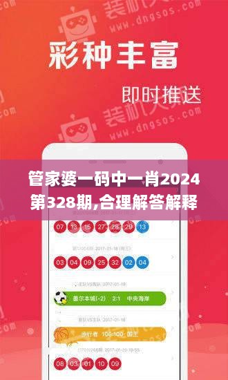 管家婆一码中一肖2024第328期,合理解答解释落实_WIR6.30