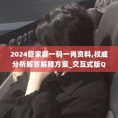 2024管家婆一码一肖资料,权威分析解答解释方案_交互式版QQT7.42