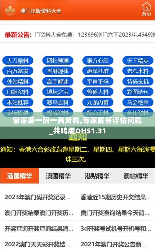 管家婆一码一肖资料,专家解答评估问题_共鸣版OHS1.31