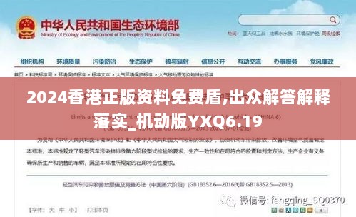 2024香港正版资料免费盾,出众解答解释落实_机动版YXQ6.19