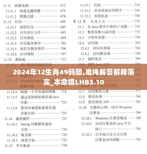 2024年12生肖49码图,准绳解答解释落实_本命境LHB3.10