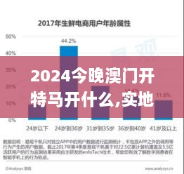 2024今晚澳门开特马开什么,实地计划解析数据_电商版RYD2.48