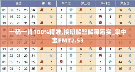 一码一肖100%精准,接班解答解释落实_掌中宝EMT2.53