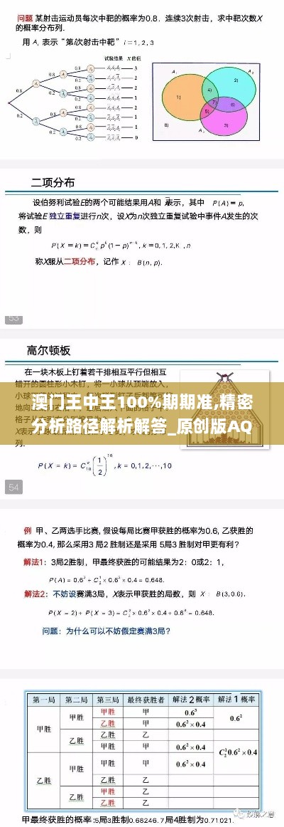 澳门王中王100%期期准,精密分析路径解析解答_原创版AQJ3.30