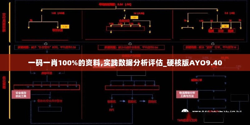 一码一肖100%的资料,实践数据分析评估_硬核版AYO9.40