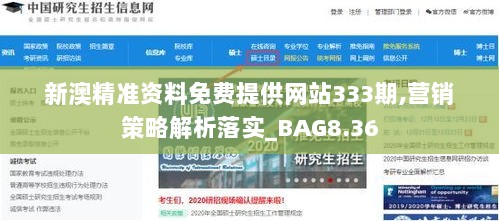 新澳精准资料免费提供网站333期,营销策略解析落实_BAG8.36