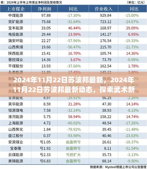 2024年11月22日苏波邦最新动态，探索武术新篇章的进展与更新