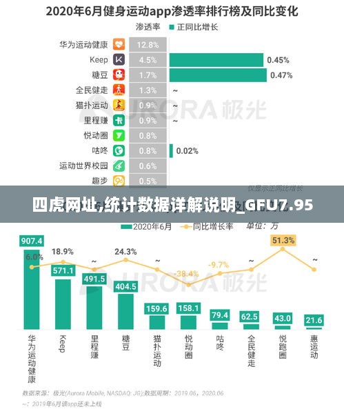 四虎网址,统计数据详解说明_GFU7.95