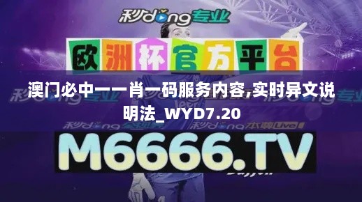 澳门必中一一肖一码服务内容,实时异文说明法_WYD7.20