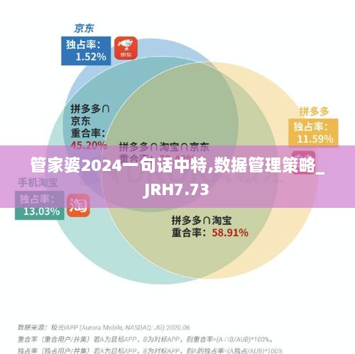 管家婆2024一句话中特,数据管理策略_JRH7.73