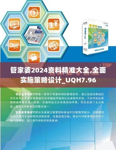 管家婆2024资料精准大全,全面实施策略设计_UQH7.96