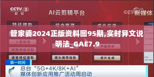 管家婆2024正版资料图95期,实时异文说明法_GAE7.9