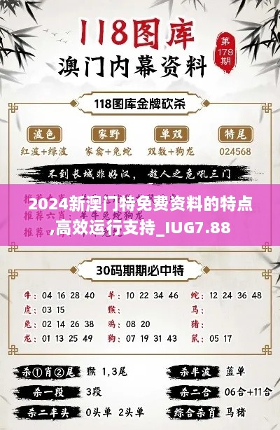 2024新澳门特免费资料的特点,高效运行支持_IUG7.88