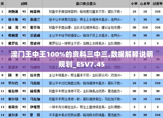 澳门王中王100%的资料三中三,数据解释说明规划_ESV7.45