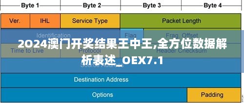 2O24澳门开奖结果王中王,全方位数据解析表述_OEX7.1