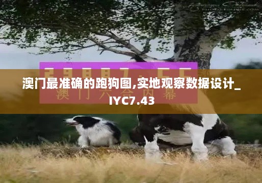 澳门最准确的跑狗图,实地观察数据设计_IYC7.43