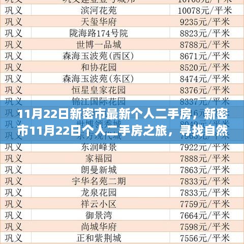 新密市11月22日个人二手房之旅，寻找自然美景，探索内心平静的居所