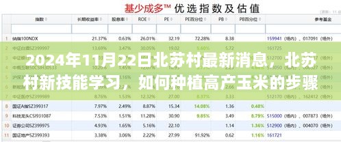 北苏村新技能学习，2024年高产玉米种植步骤指南