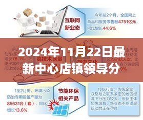 2024年11月22日中心店镇领导分工及操作指南