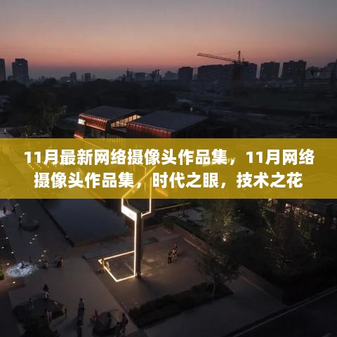 11月网络摄像头技术之花作品集