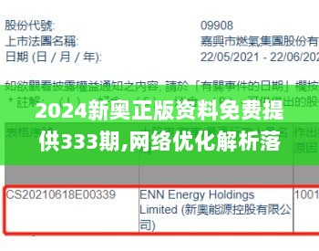 2024新奥正版资料免费提供333期,网络优化解析落实_RLJ5.48