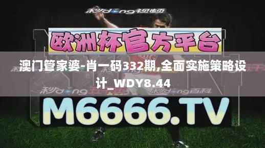 澳门管家婆-肖一码332期,全面实施策略设计_WDY8.44