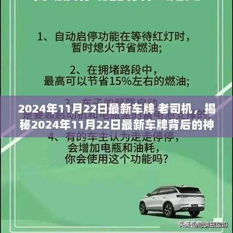 2024年11月22日最新车牌背后的神秘小店探索之旅