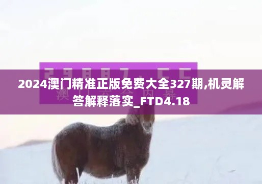 2024澳门精准正版免费大全327期,机灵解答解释落实_FTD4.18