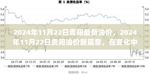 贵阳油价新篇章，在变化中找寻自信与成就的2024年11月22日油价调整。