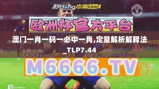 澳门一肖一码一必中一肖,定量解析解释法_TLP7.44