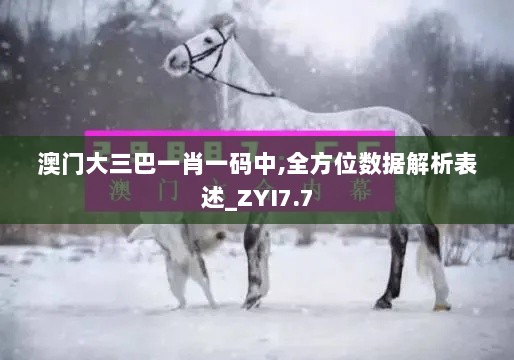 澳门大三巴一肖一码中,全方位数据解析表述_ZYI7.7