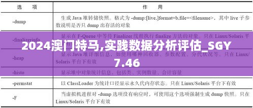 2024澳门特马,实践数据分析评估_SGY7.46