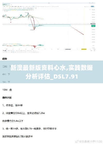 新澳最新版资料心水,实践数据分析评估_DSL7.91