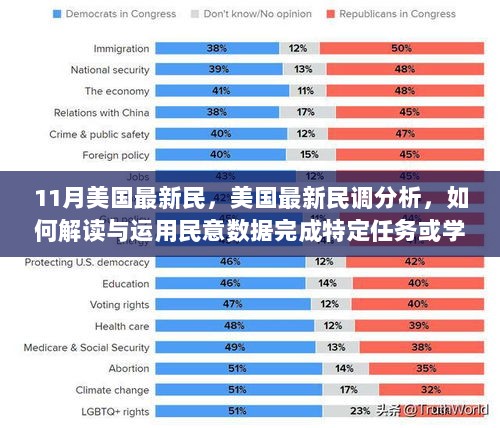 美国民调分析，解读与运用民意数据完成任务的详细步骤指南