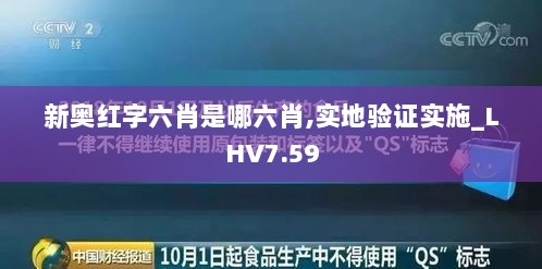 新奥红字六肖是哪六肖,实地验证实施_LHV7.59