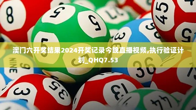 澳门六开奖结果2024开奖记录今晚直播视频,执行验证计划_QHQ7.53