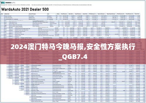 2024澳门特马今晚马报,安全性方案执行_QGB7.4