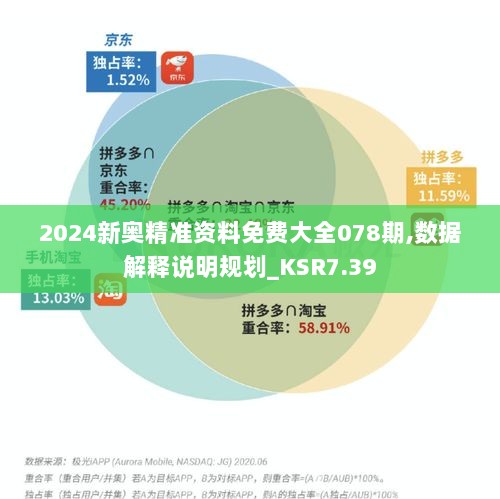 2024新奥精准资料免费大全078期,数据解释说明规划_KSR7.39