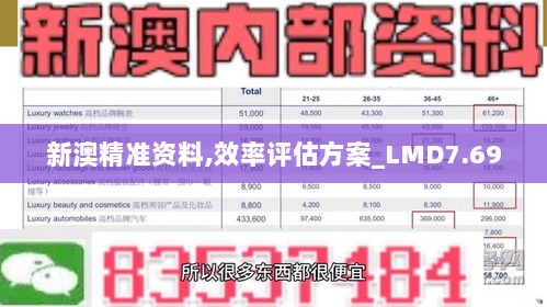 新澳精准资料,效率评估方案_LMD7.69