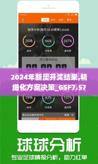 2024年新澳开奖结果,精细化方案决策_GSF7.57