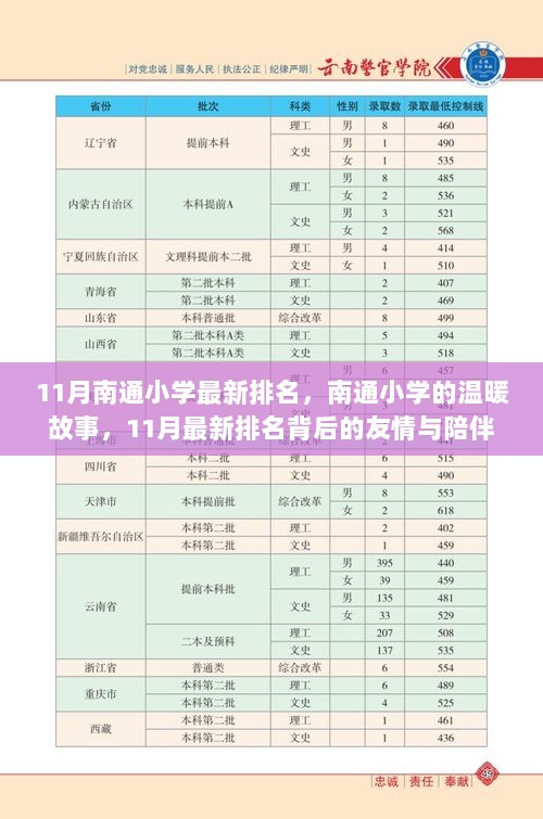 11月南通小学最新排名，友情与陪伴下的温暖故事