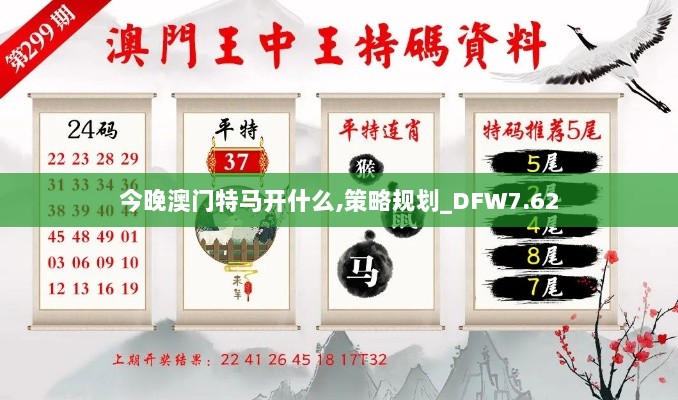 今晚澳门特马开什么,策略规划_DFW7.62