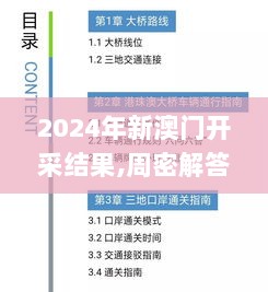 2024年新澳门开采结果,周密解答解释落实_闪电版SBD1.22