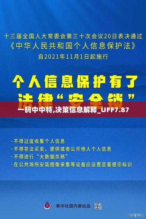 一码中中特,决策信息解释_UFF7.87