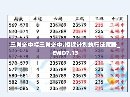 三肖必中特三肖必中,担保计划执行法策略_EWD7.13